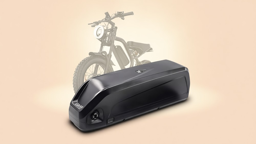 48V 20Ah lithium battery with 30A BMS