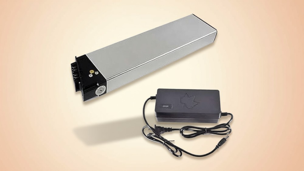 SDTYYP 48V 13.6Ah Lectric XP Battery Review: 652Wh DCH-006 with Charger Included