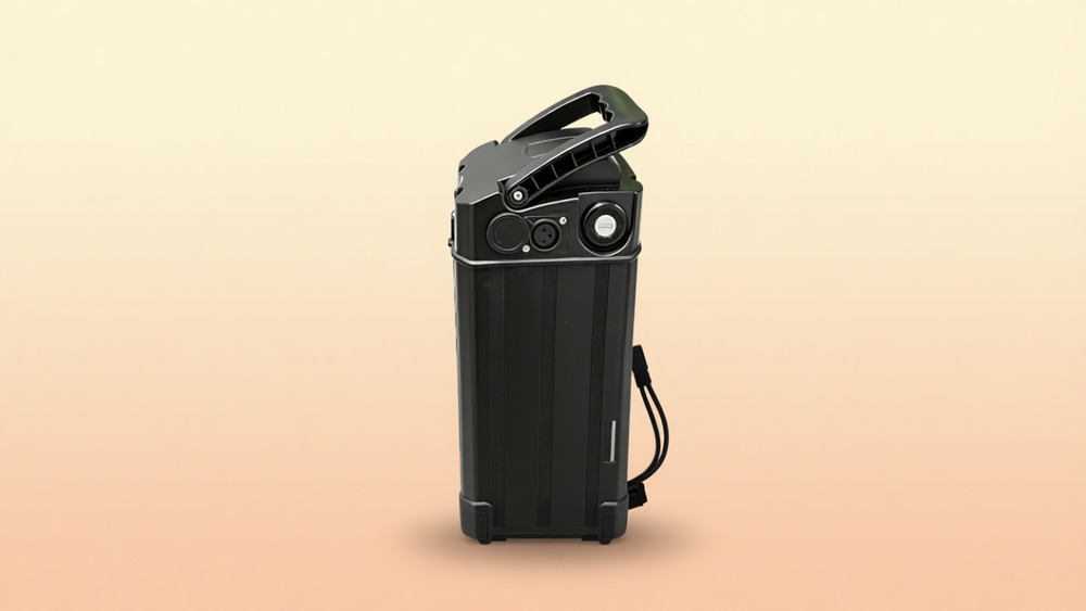 LZIXYM 48V 20Ah Ebike Battery
