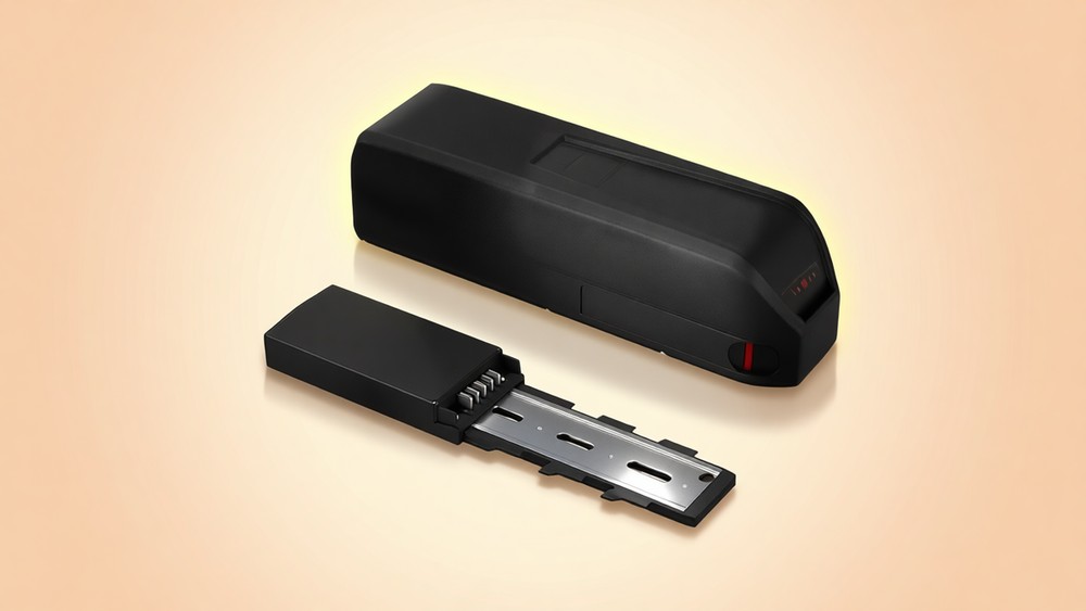 Q RQTEBAT 48V 20Ah ebike battery