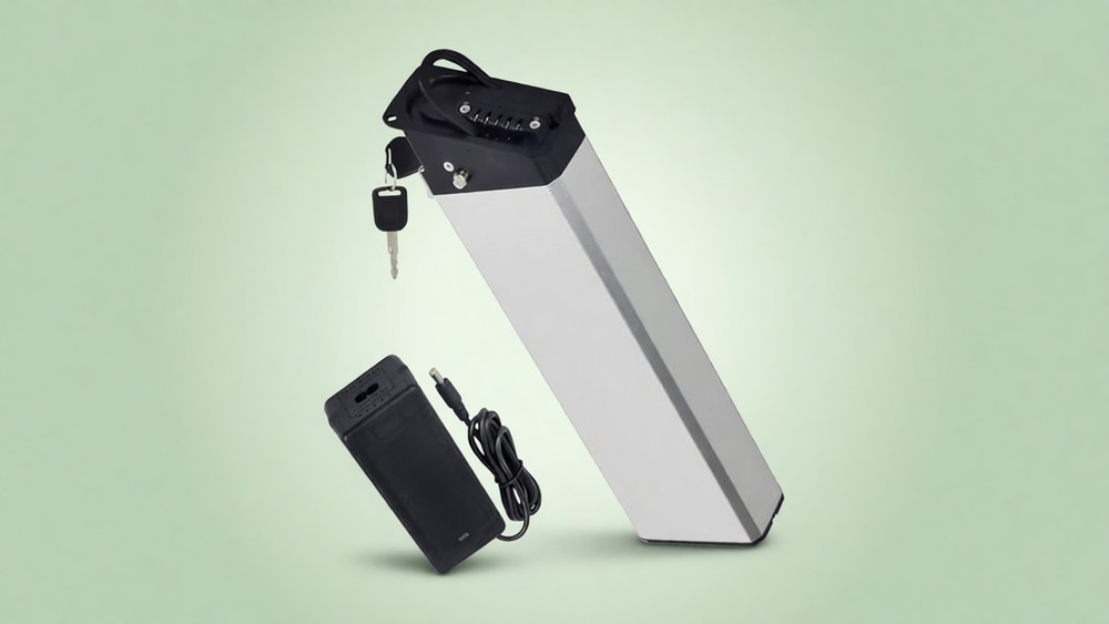 Ebike product photo