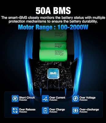 Leonidas 52V 20Ah battery mounted compatibility view