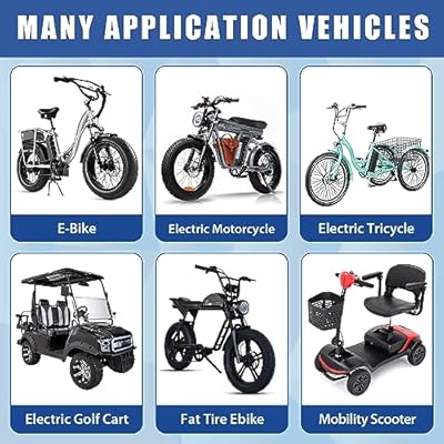 SWQQWEI 48V 20Ah battery dimensions and specs label