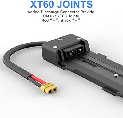 DICHOU 48V 20Ah battery specs and LG cell detail