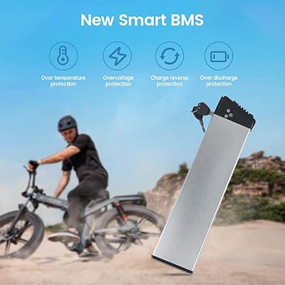 ShunTongDa 48V 10.4Ah battery LED indicator and features