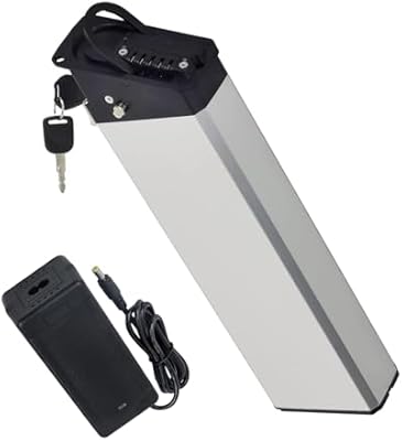 Xiseny 48V 13Ah silver fish ebike battery with charger and key