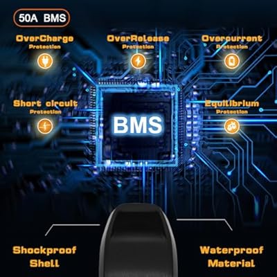 PLXNYLB 48V 22.4Ah BMS and internal detail