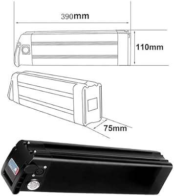 image of the SDTYYP 48V 15.6Ah silver fish battery