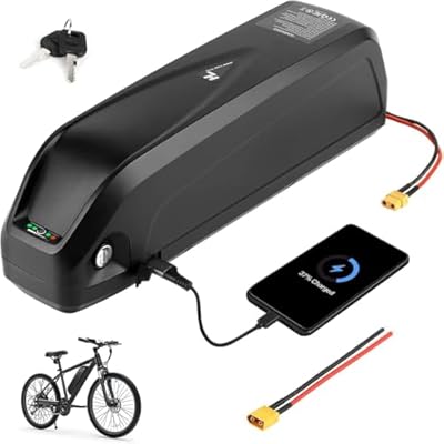VISET LI 52V 20Ah ebike battery with USB port