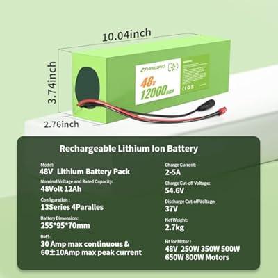 RANSYRI 48V 12Ah full battery view showing build quality