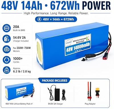 LOLRKO 48V 14Ah Battery Detail
