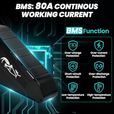 ZLSHELIBK 52V 31.8Ah BMS protection and connector detail