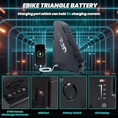 ZLSHELIBK 52V 31.8Ah triangle mounting and waterproof case