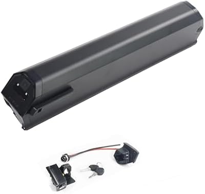 ShunTongDa 48V 17.5Ah Reention Dorado ebike battery with charger and mounting plate