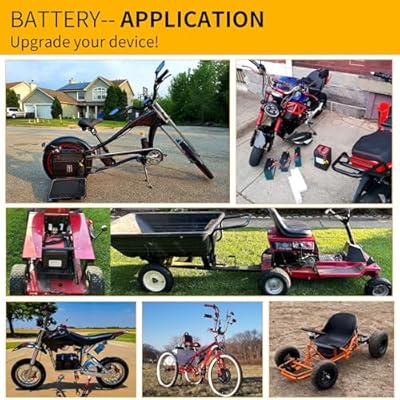 BtrPower 48V/52V 30Ah LiFePO4 battery full package