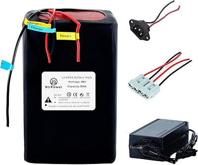 BtrPower 48V 30Ah LiFePO4 ebike battery with 5A charger