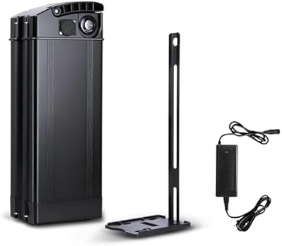 SEENRONGYUAN 48V 20Ah folding ebike battery pack