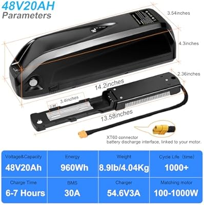 SEENRONGYUAN 48V 20Ah Hailong battery key lock and 5-pin connector detail