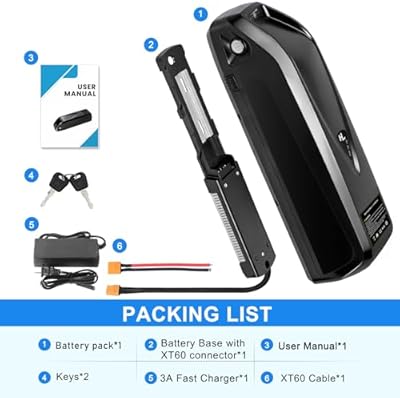 SEENRONGYUAN 48V 20Ah Hailong battery full view showing build quality