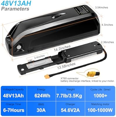 SEENRONGYUAN 48V 13Ah Hailong battery 5-pin connector and key lock detail