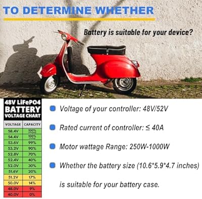 BtrPower 25Ah LiFePO4 battery with charger and connector detail