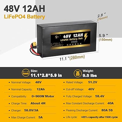 HAYAEnergy 48V LiFePO4 battery full package with 3A charger