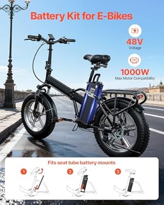 VEVOR 48V 15.6Ah battery 3A charger and connector detail