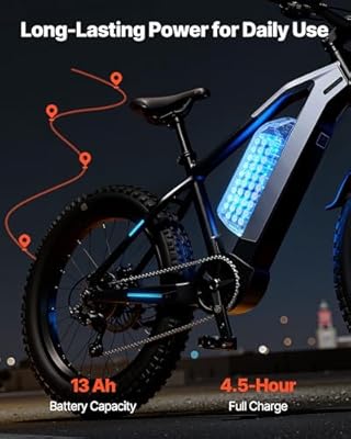 VEVOR 48V 13Ah BMS protection and charger detail