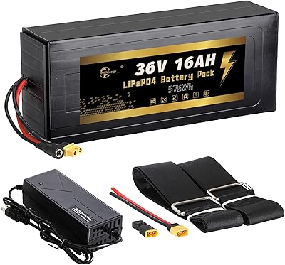 HAYAEnergy 36V 16Ah LiFePO4 ebike battery external box with XT90 connector