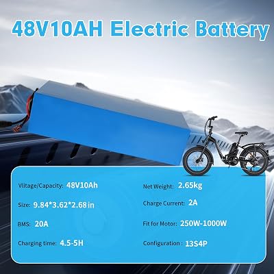 Veleylr 48V 10Ah battery side view
