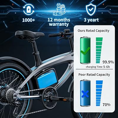 Veleylr 48V 10Ah battery package