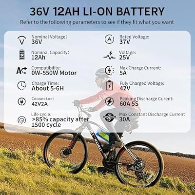 DYMOZYNE battery label and specs detail