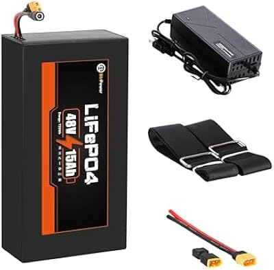 BtrPower 48V 15Ah LiFePO4 ebike battery