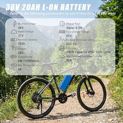 Generic 36V 20Ah battery side view