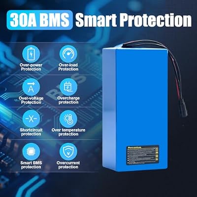 LOCKBUS 36V 20Ah ebike battery