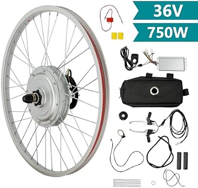 SRTYGHW 750W front hub motor detail